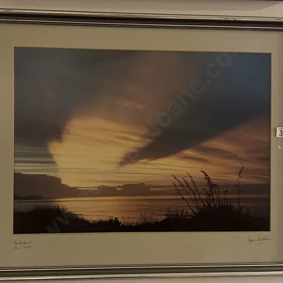 Royce Jackson - Paekakariki - Photography Work