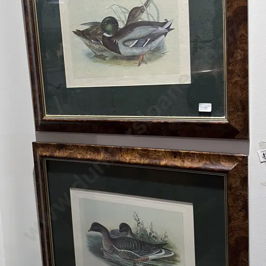 Two Vintage Duck Prints