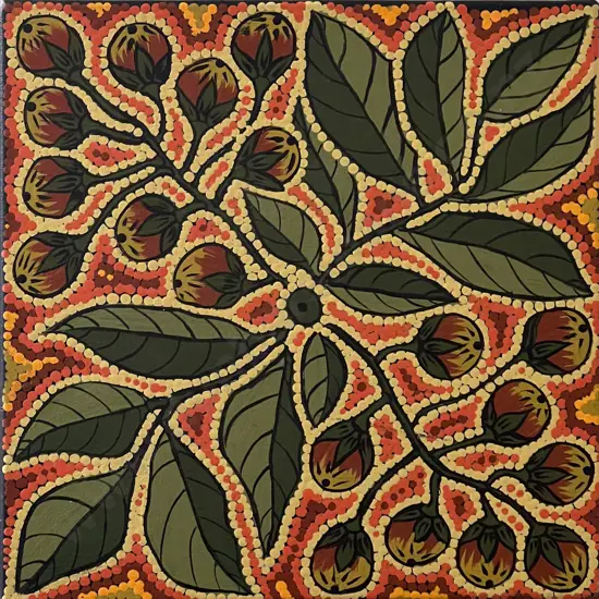 M Abbott - Bush Tomatoes - Acrylic on Canvas