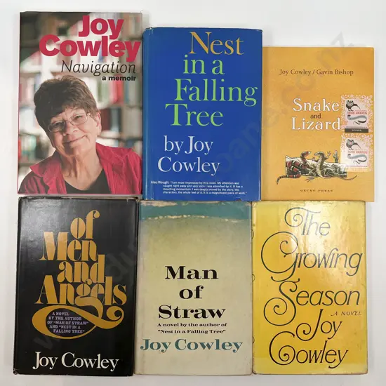 Six Joy Cowley Fiction Books Including "Snake and Lizard"