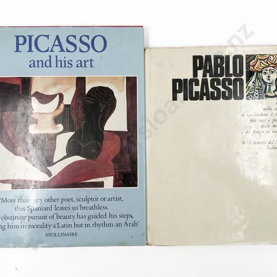 Two Pablo Picasso Reference Volumes