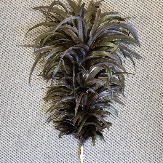 Glamorous Rooster Feather Duster