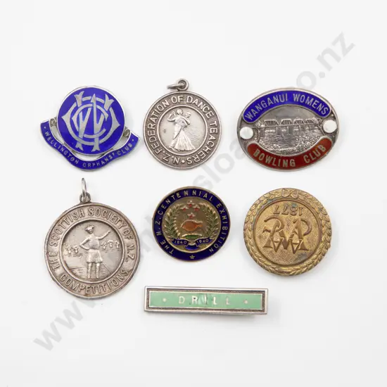 Seven NZ Silver and Enamel Badges