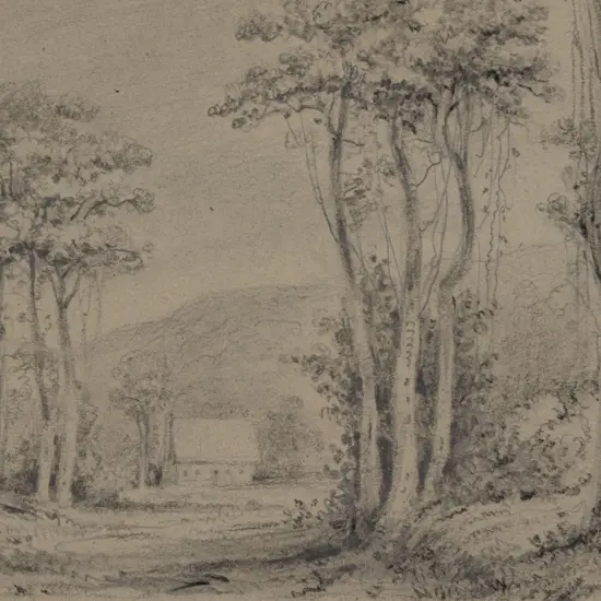 William Swainson (1789 - 1855) - Hawkeshead