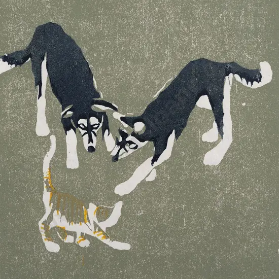 Marci McDonald - Huskies