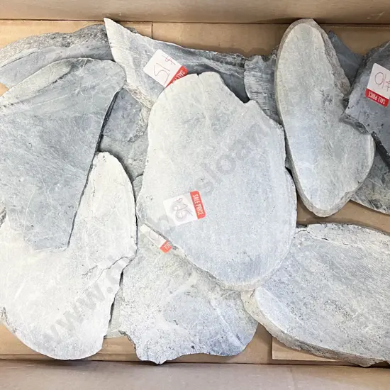Box Quantity of Geological Samples