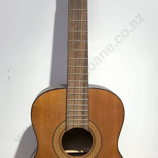 Acoustic Guitar (Faults)