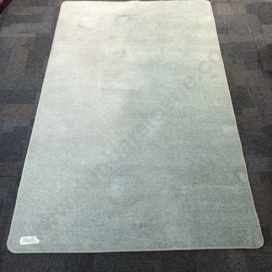 Modern Light Green Floor Rug (AF)