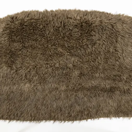 A Fine 19th Century Kahu Kiwi - Kiwi Feather Cloak