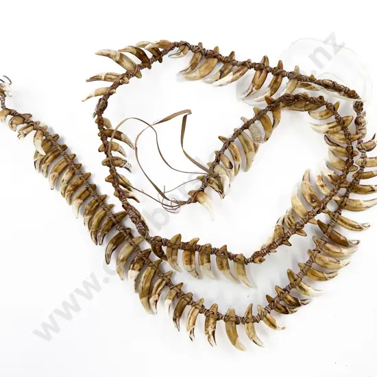 A Papua New Guinea Warriors Dog Tooth Necklace