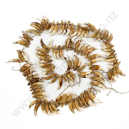 A Papua New Guinea Warriors Dog Tooth Necklace