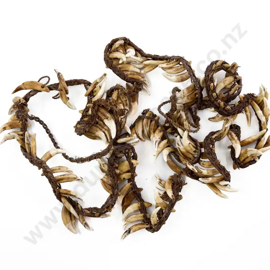 A Papua New Guinea Warriors Dog Tooth Necklace