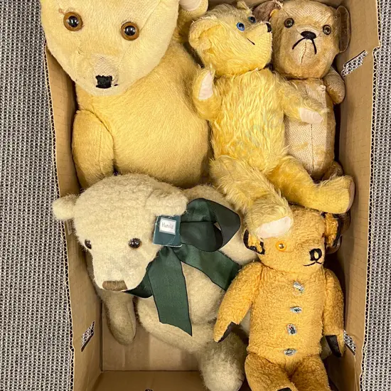 Box of Assorted Vintage Teddy Bears