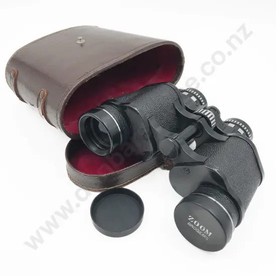 Binoculars in Case