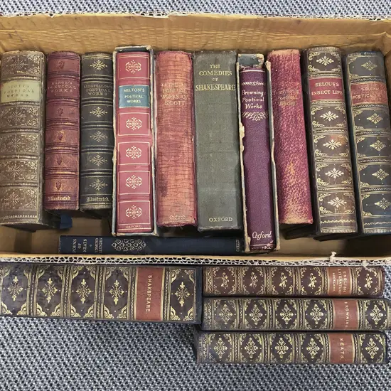 Quantity of Assorted Shakespeare Volumes with Others