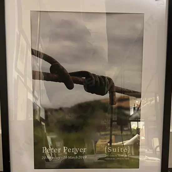 Peter Peryer - Suite Exhibition Poster