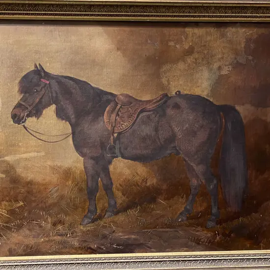 Vintage Unsigned Oil on Canvas Horse Study