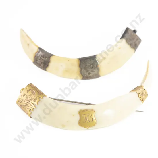 NZ Colonial 9ct and Sterling Silver Mounted Boar Tusk Brooches