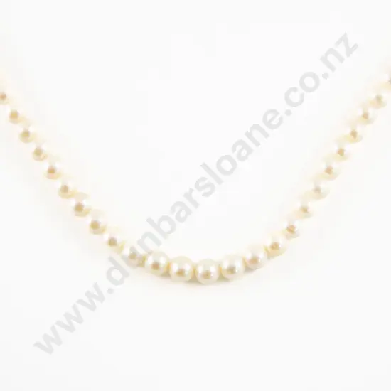 Single Strand Uniform Cultured Pearl Necklace