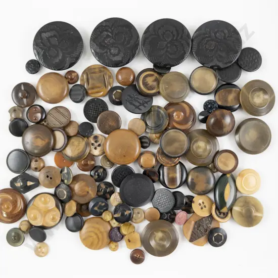 Collection Vegetable Ivory Buttons