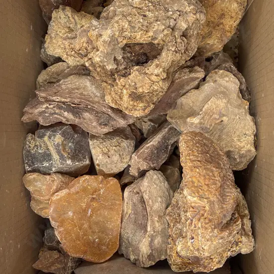 Quantity of Natural Form Amber/Kauri Gum