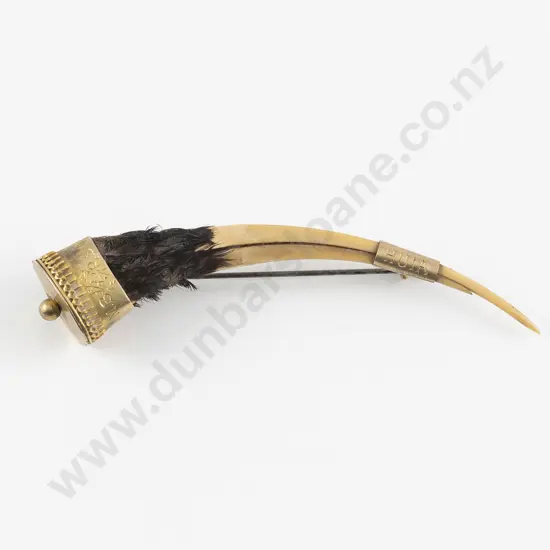 NZ Colonial 9ct Gold Gilt Mounted Huia Beak Brooch