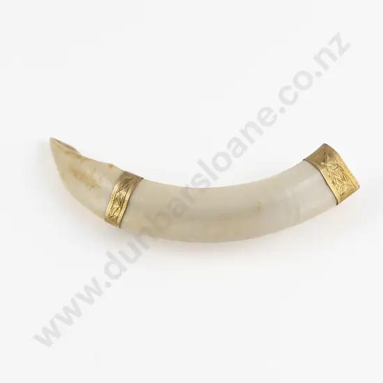 NZ 9ct Mounted Boar Tusk Brooch