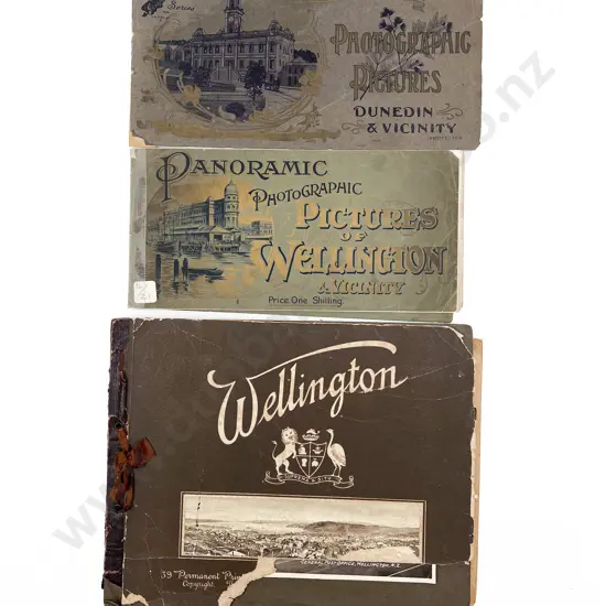 Three Photographic Picture Albums