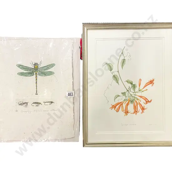 Jill Roche - Dragonfly