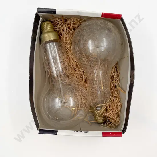 Two Vintage Large Lightbulbs