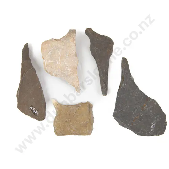 Five Awls From The Pitcairn Islands