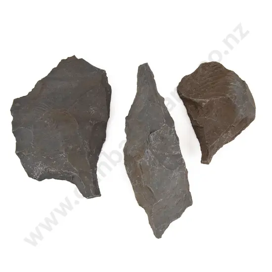 Three Large Awls From The Pitcairn Islands