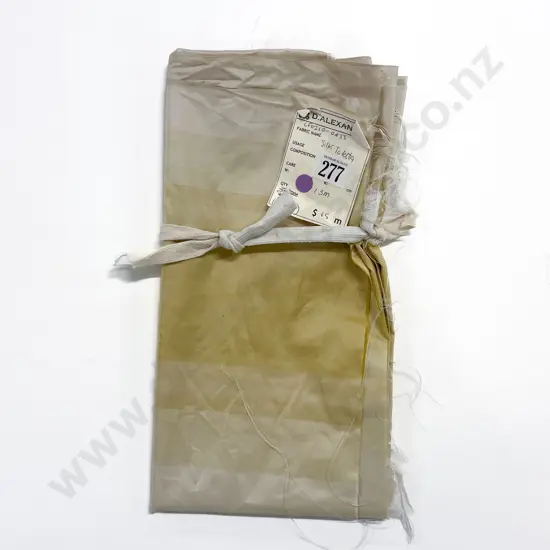 Remnant Piece Silk Taffeta