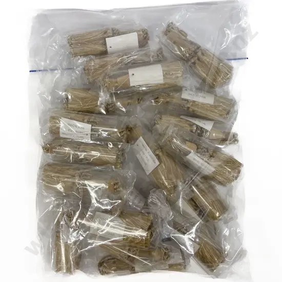 As New Twenty Small Gold Tassels