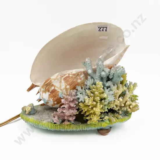 Shell and Coral Form Table Lamp