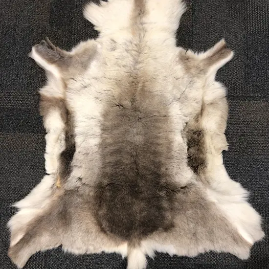 Reindeer Skin