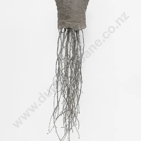 Kendal Murray (Australian) - Beauty is but a Blossom