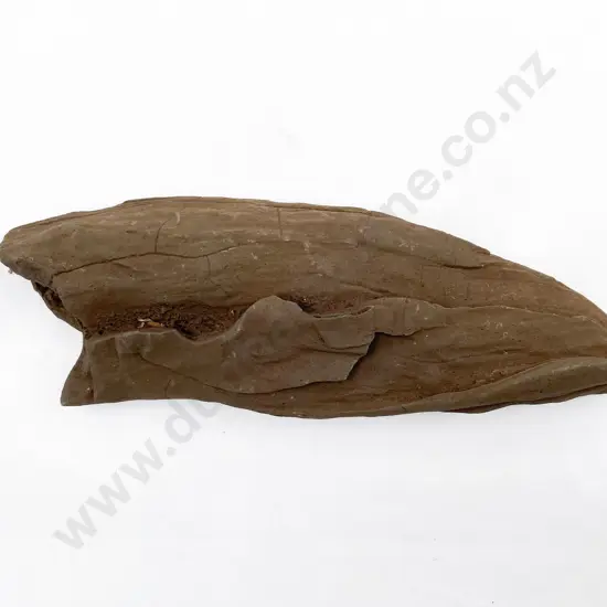 Volcanic Basalt Sharpening/Polishing Stone From The Pitcairn Islands