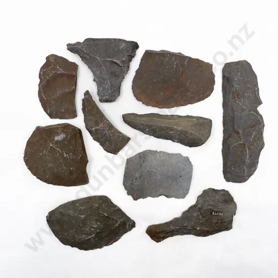 Ten Various Roughout Fragments From The Pitcairn Islands