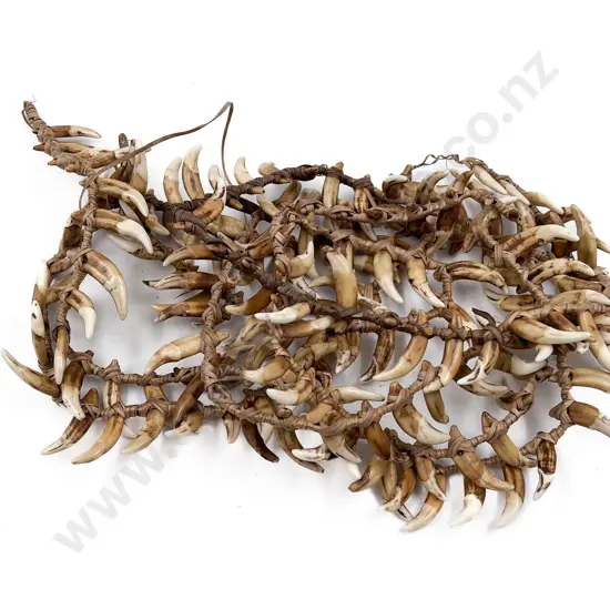 Papua New Guinea Warriors Dog Tooth Necklace