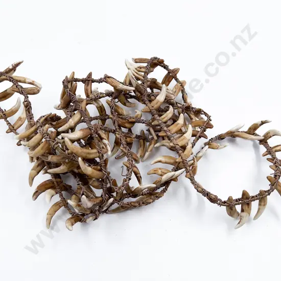 Papua New Guinea Warriors Dog Tooth Necklace