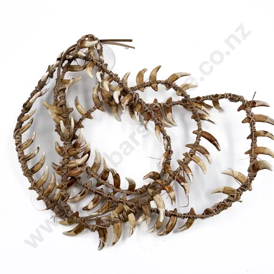Papua New Guinea Warriors Dog Tooth Necklace