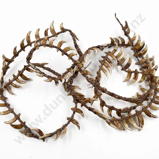 Papua New Guinea Warriors Dog Tooth Necklace