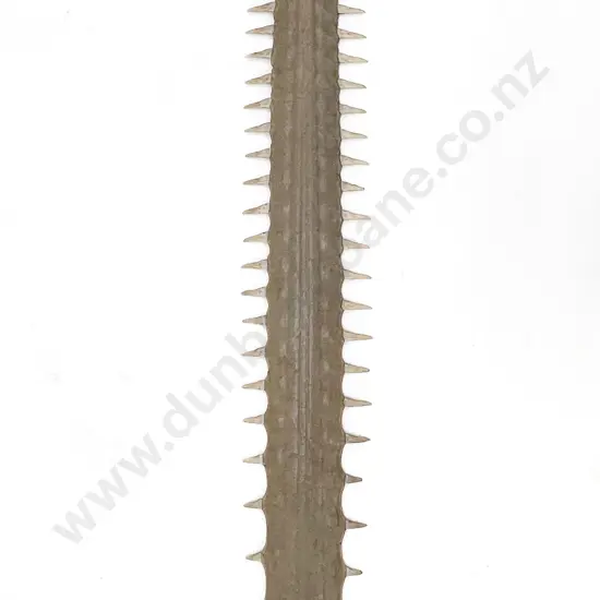 Sawfish Bill