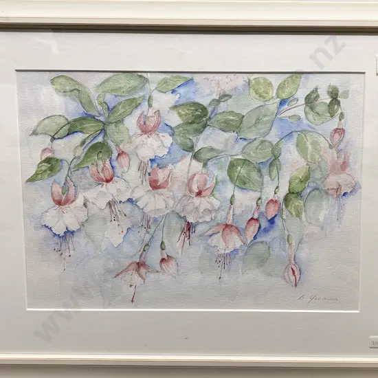 B Yeoman - Fuschias - Watercolour