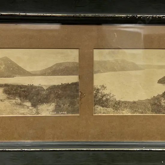 Vintage Black & White Photography Display