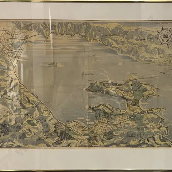 Framed Vintage Shell Colour Map of Wellington