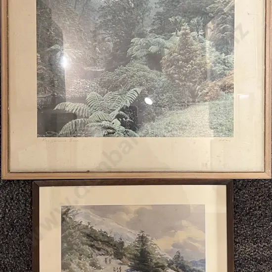 New Zealand Bush - Whites Aviation Photograph