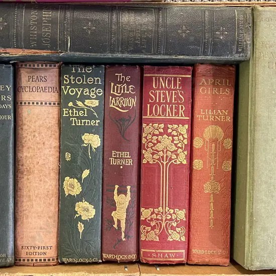 Box of Assorted Vintage Novels