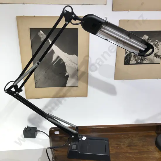 Modern Anglepoise Lamp